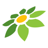 LINK KOKO888